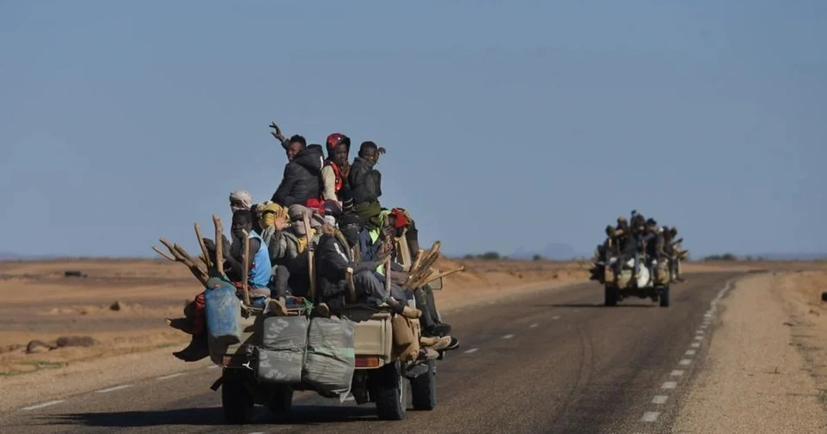 49 người tử vong do khát trên sa mạc Sahara