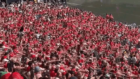 Khán giả Na Uy tái dựng hoạt cảnh chèo thuyền Viking tại các khán đài World Cup