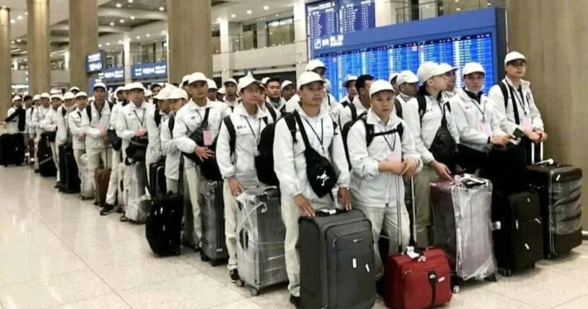 Gần 2.500 lao động Việt Nam tại Trung Đông được bảo đảm an toàn