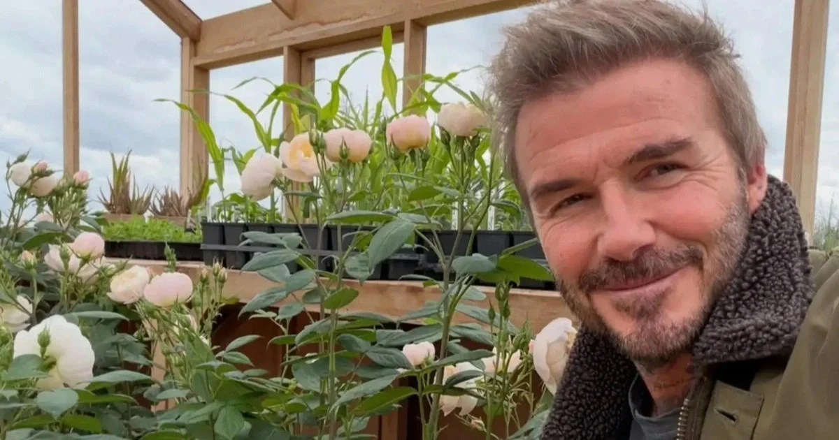 Toàn cảnh biệt thự nông thôn nơi cựu danh thủ Beckham nuôi gà và trồng hoa